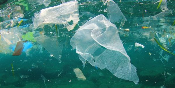 Global Plastics Industry Joins Hands to Combat Marine Litter