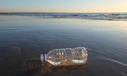 10 Easy Ways To Reduce Your Plastics Use In 2019