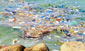 Microplastics – a cause for concern