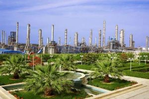 Protection of Environment, Strategy for Petrochemical Industry